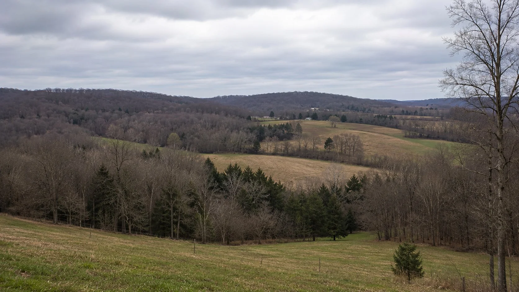 Knox County Ohio wooded hill country and farmland near Mount Vernon