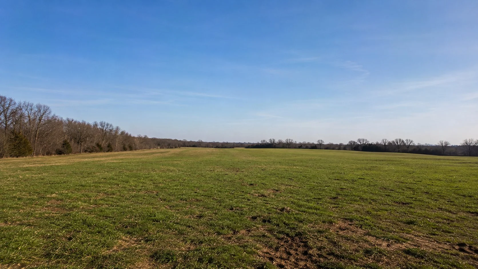 Reclaimed Ohio pasture with open grass land and clean edges ready for agricultural use
